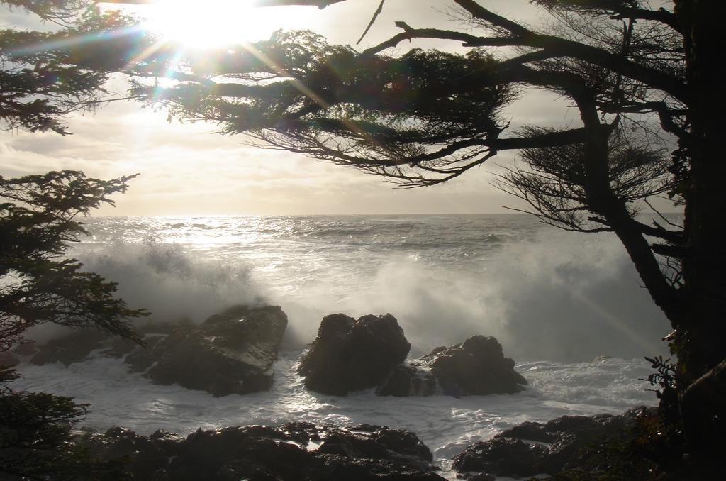 Waters Edge Shoreside Suites Ucluelet Bagian luar foto