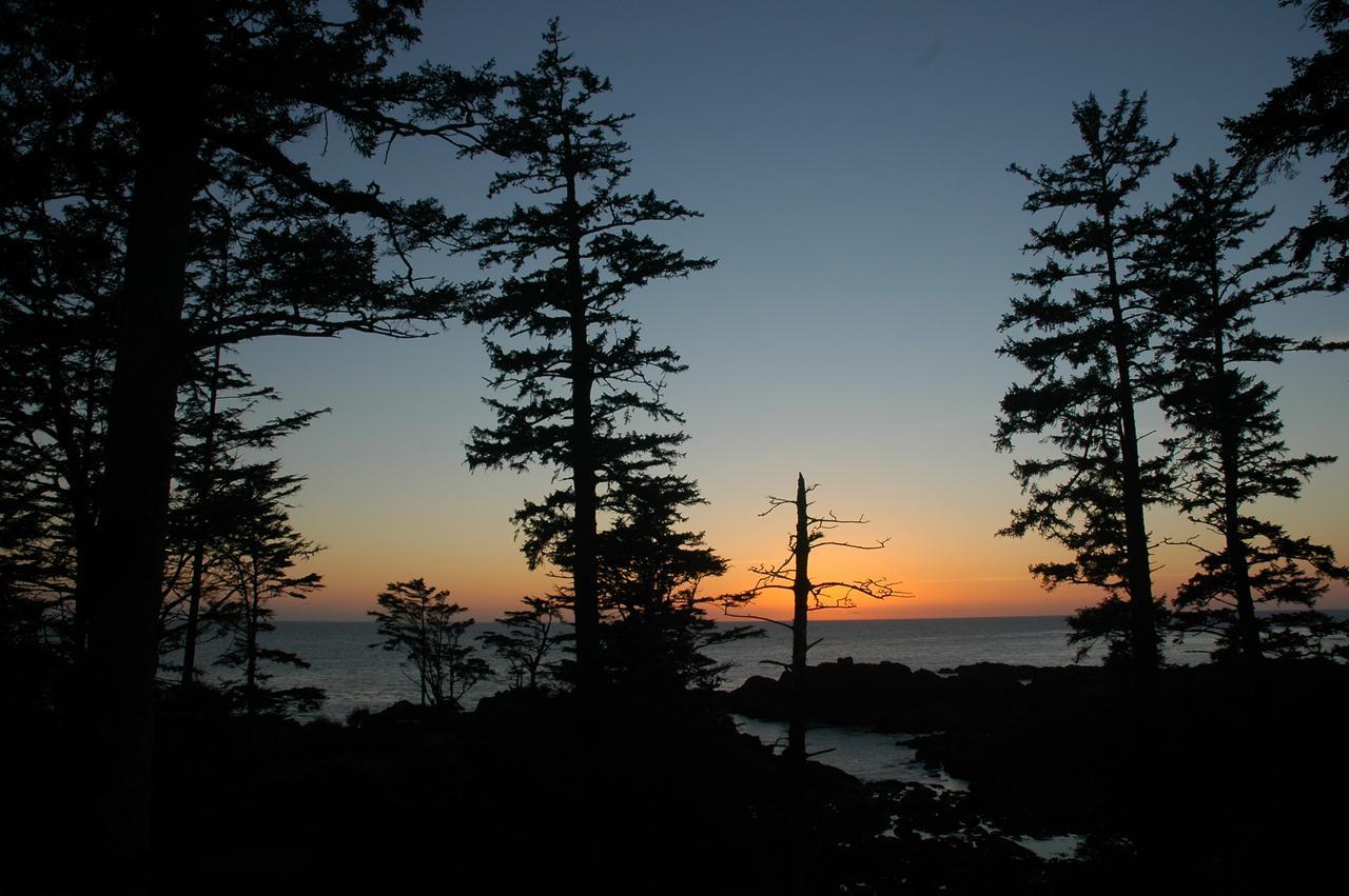 Waters Edge Shoreside Suites Ucluelet Bagian luar foto